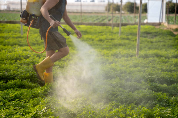 Pest Control Cost in Eagle, WI