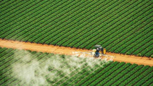Best Mosquito Control Services  in Eagle, WI