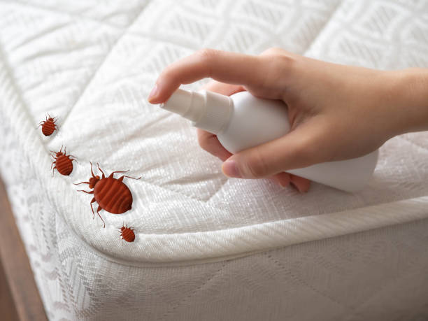 Best Flea Control Services  in Eagle, WI
